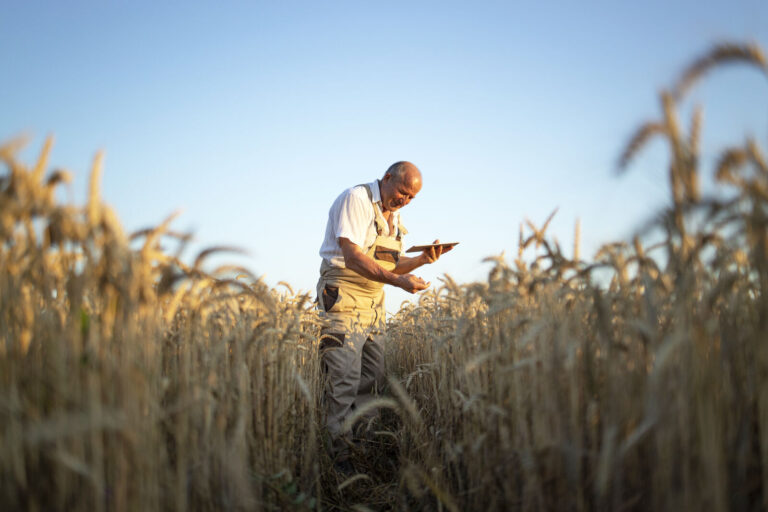 Produtor rural com tablet em lavoura de trigo